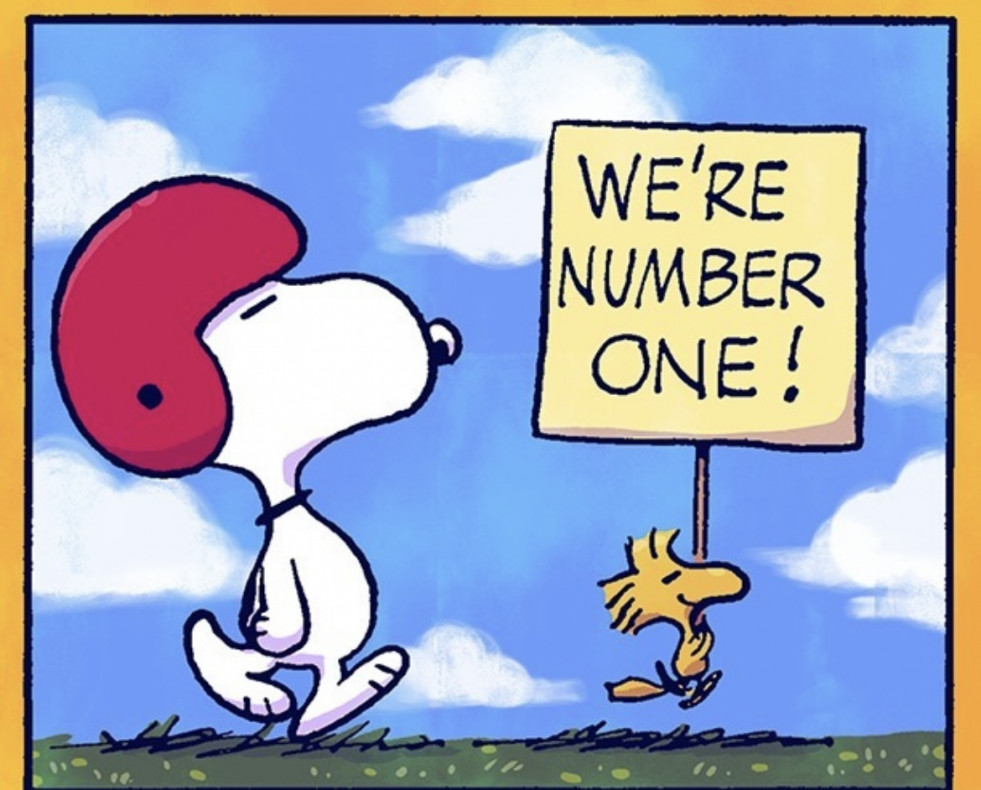 Snoopy  (11)