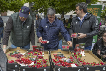 UPA Aragón y UPA Andalucía organizan un acto de reparto de fresas de Huelva en pleno centro de Zaragoza como parte de la campaña Yo como fresas de Huelva porque son sanas, seguras y sostenibles