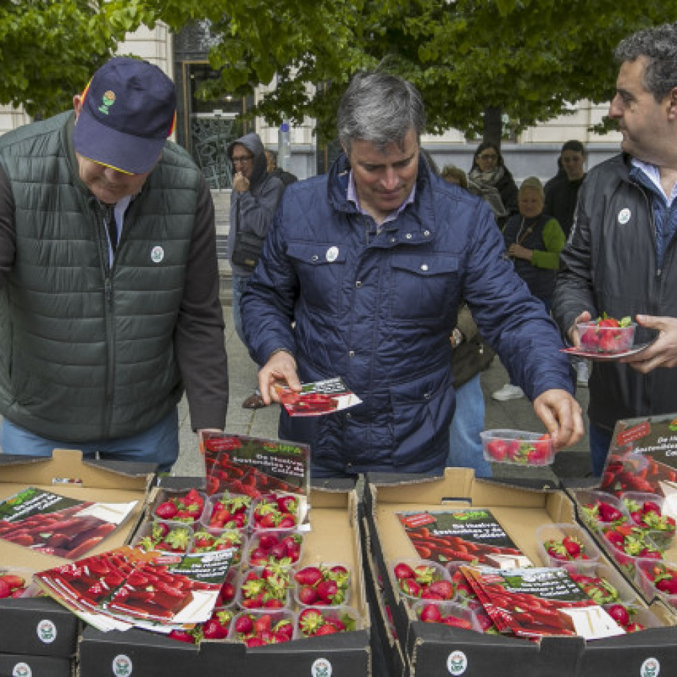 UPA Andalucía lleva a la Praza do Obradoiro fresas 